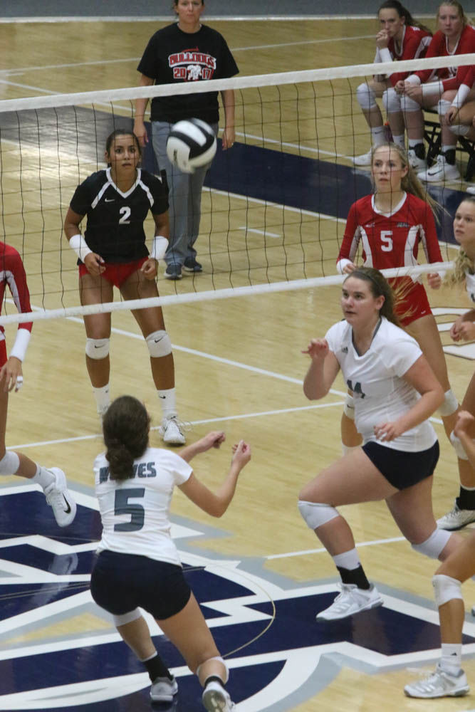 Gallery: Girls volleyball - Crown Point at Michigan City